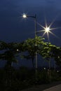 The energy-saving streetlights made by LED Royalty Free Stock Photo